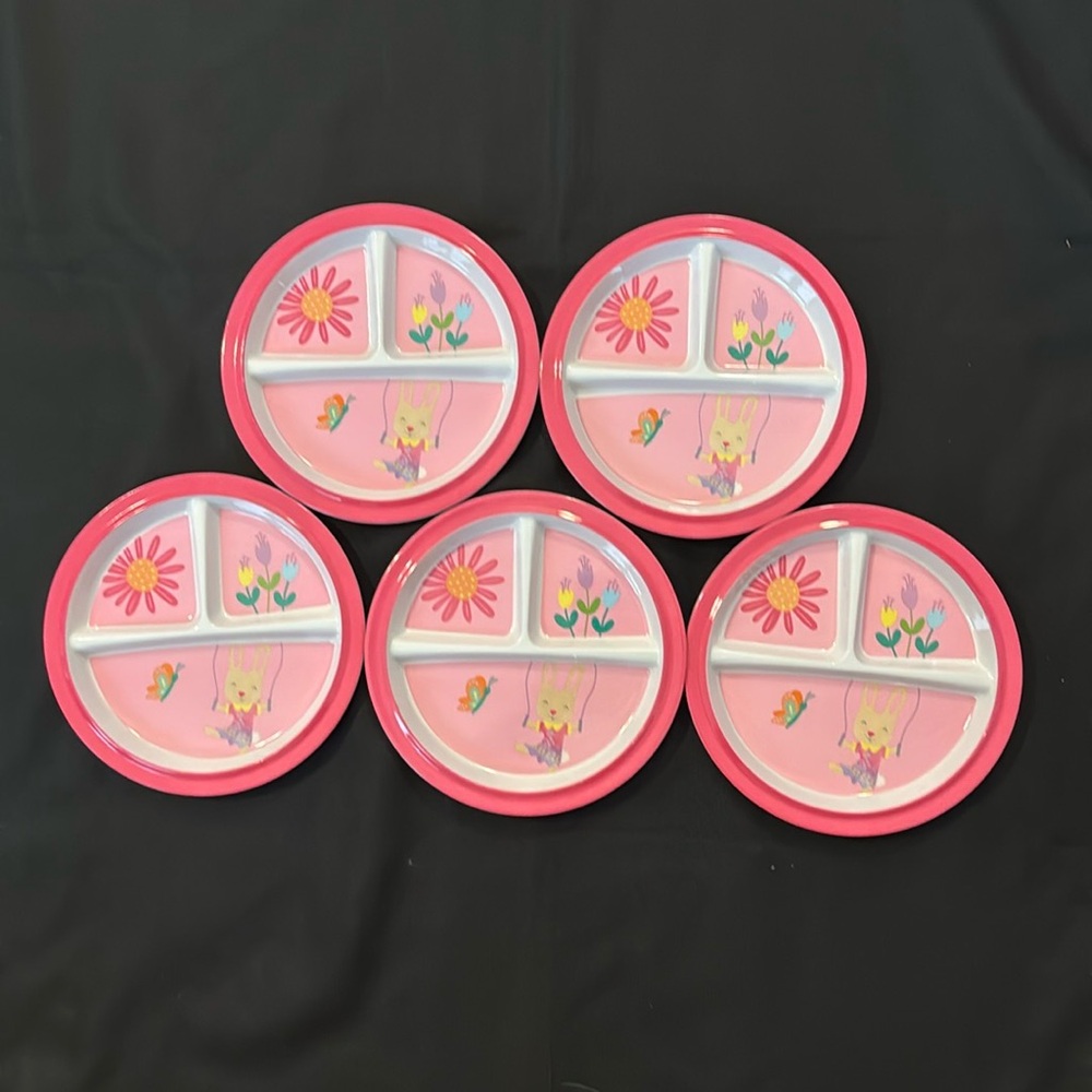 Set of 5 Pink Divided Plates with Floral Design